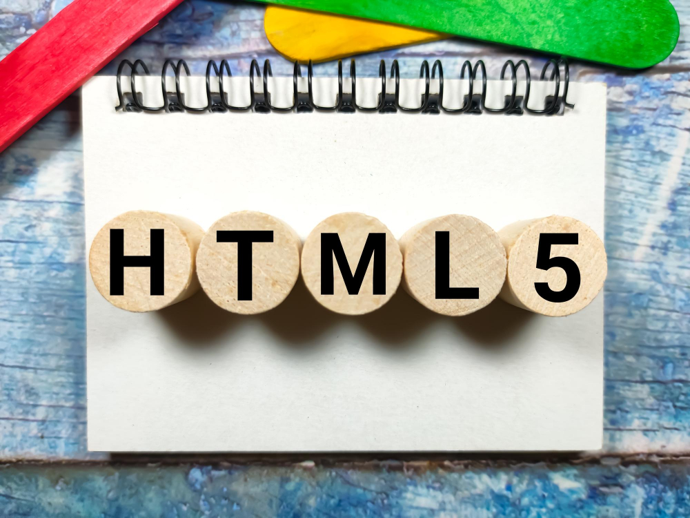 html 5 programmer